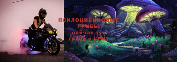 твердый Няндома