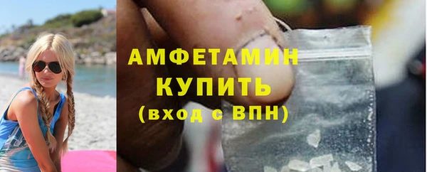 шишки Семилуки