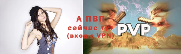 твердый Няндома