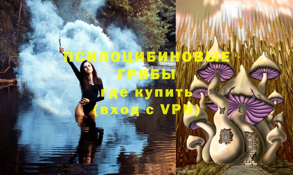 мескалин Нягань