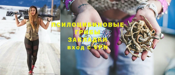 твердый Няндома