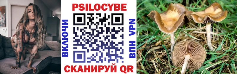 Псилоцибиновые грибы мицелий Благовещенск