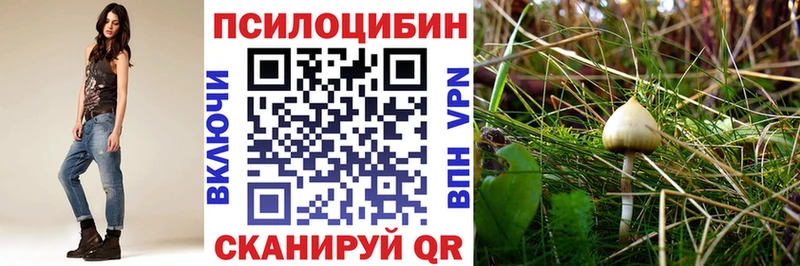 hydra ТОР  Благовещенск  Галлюциногенные грибы Magic Shrooms 