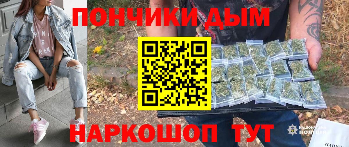 Конопля индика  Благовещенск  Канабис планчик  Марихуана OG Kush 
